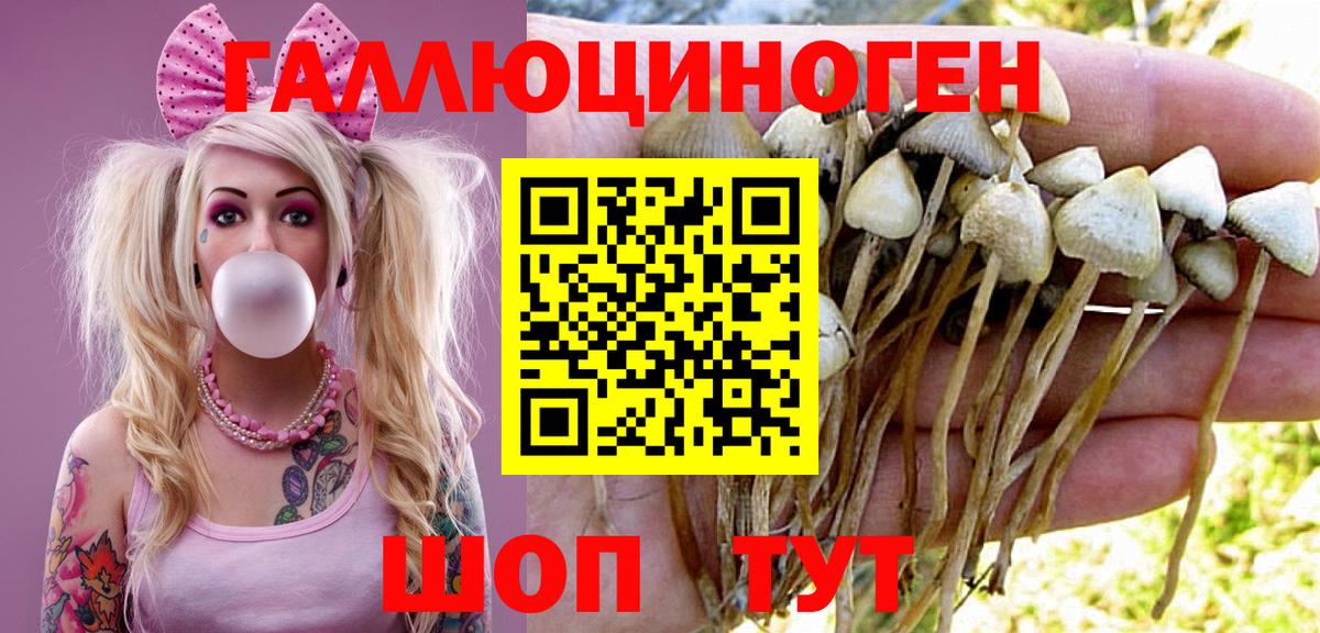 Галлюциногенные грибы Psilocybine cubensis  где купить наркоту  Вход с VPN  Россошь  Псилоцибиновые грибы GOLDEN TEACHER 